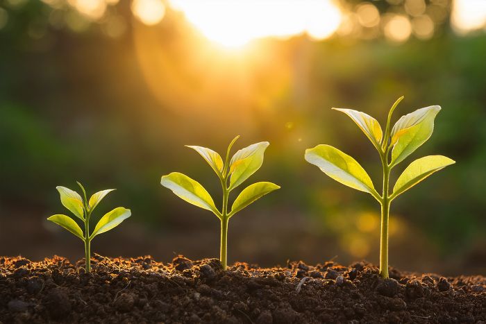 Benefits of Branding Design Services for Growing Businesses