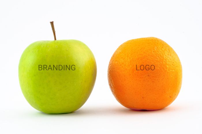 Branding Design Services vs Logo Design Blog Post Image